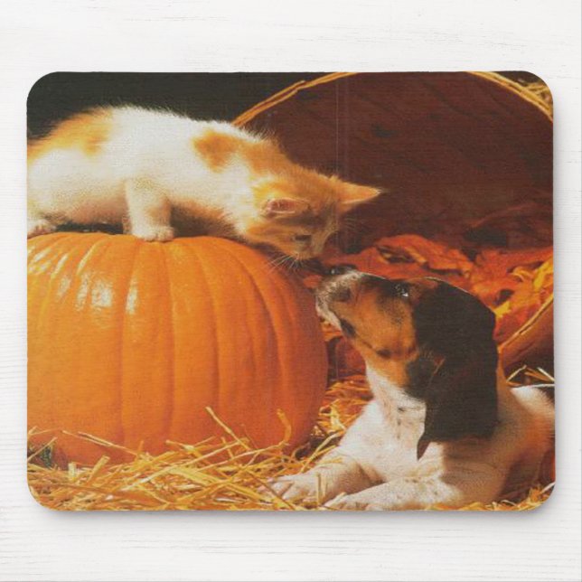 Kitten, Pumpkin and Puppy Mousepad (Front)