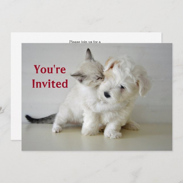 Kitten Puppy  Bridal Shower Invitation (Front/Back)