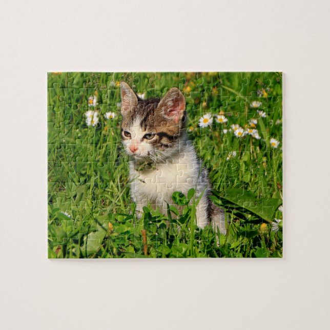 Kitten Puzzle (Horizontal)