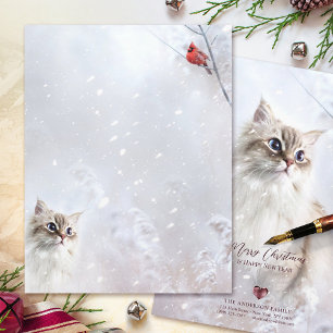 Kitten & Red Cardinal in Snow - 8.5x11” Stationery Custom Letterhead