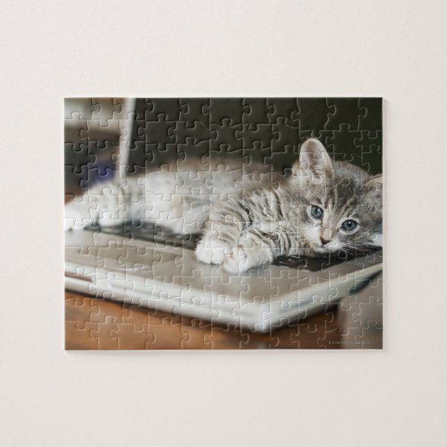 Kitten resting on laptop computer jigsaw puzzle (Horizontal)