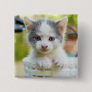 Kitten Rides A Bike 15 Cm Square Badge