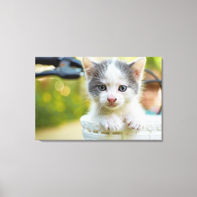 Kitten Rides A Bike Canvas Print (Front)