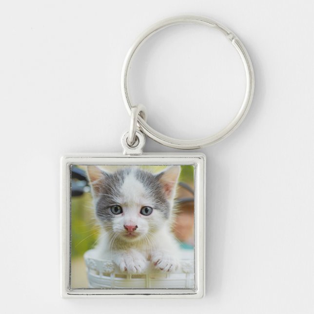 Kitten Rides A Bike Key Ring (Front)