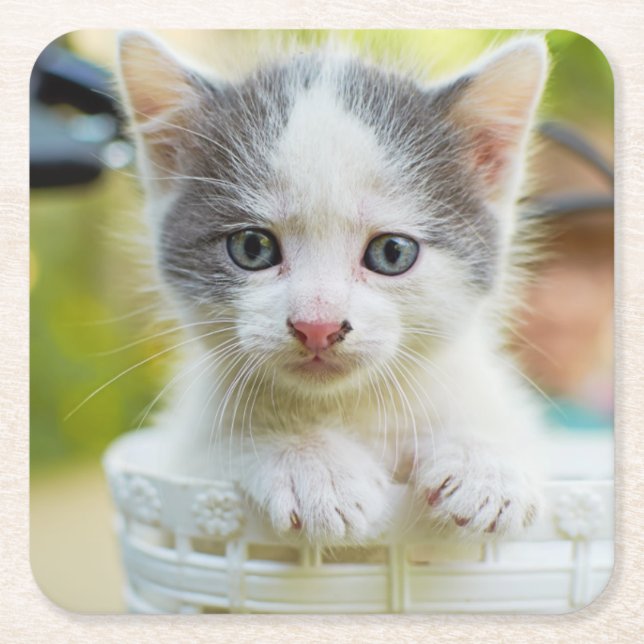 Kitten Rides A Bike Square Paper Coaster (Front)