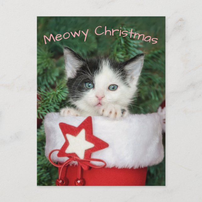 Kitten Santa Claus Boot Stocking Meowy Christmas - Holiday Postcard (Front)