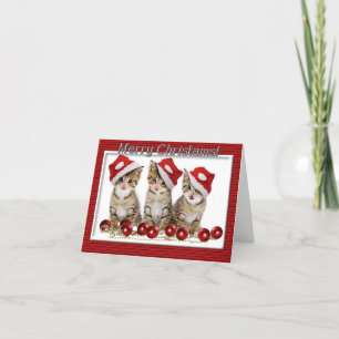 Kitten Santas Christmas Note Card