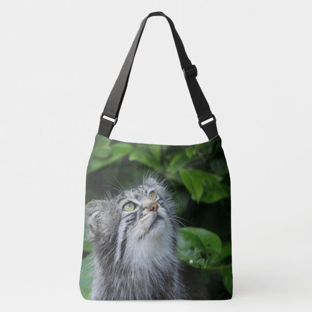 Kitten Saying A Prayer Crossbody Bag (Front)