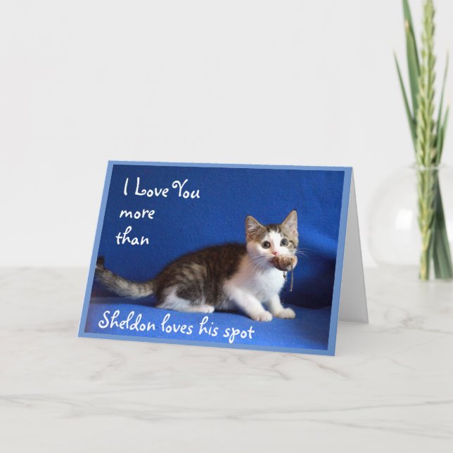 Kitten Says Be My Valentine  Card (Front)