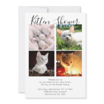 Kitten Shower Cute Personalised Cat Adoption