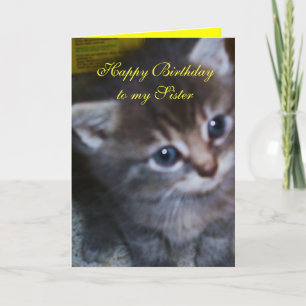 KITTEN, SISTER BIRTHDAY CARD