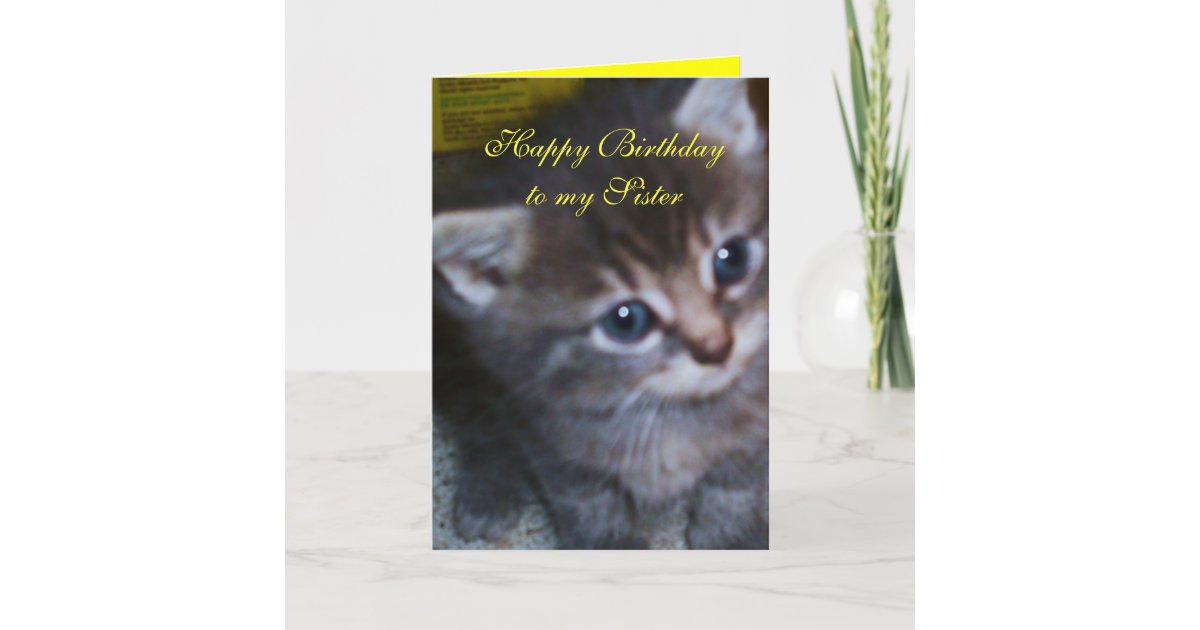 KITTEN, SISTER BIRTHDAY CARD Zazzle