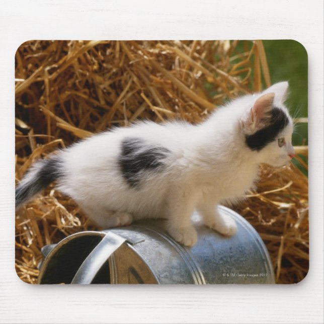 Kitten sitting on top of watering can mouse mat (Front)