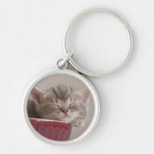Kitten Sleeping In A Bowl Key Ring