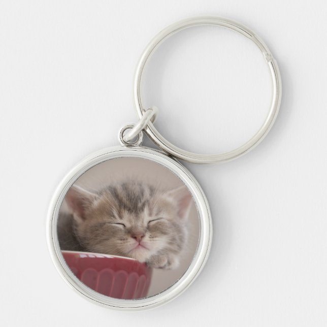 Kitten Sleeping In A Bowl Key Ring (Front)