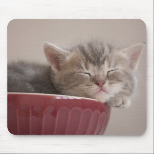 Kitten Sleeping In A Bowl Mouse Mat