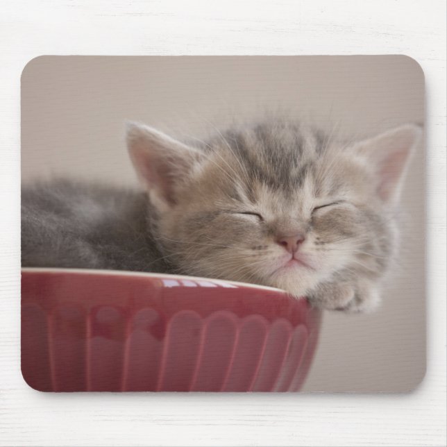 Kitten Sleeping In A Bowl Mouse Mat (Front)