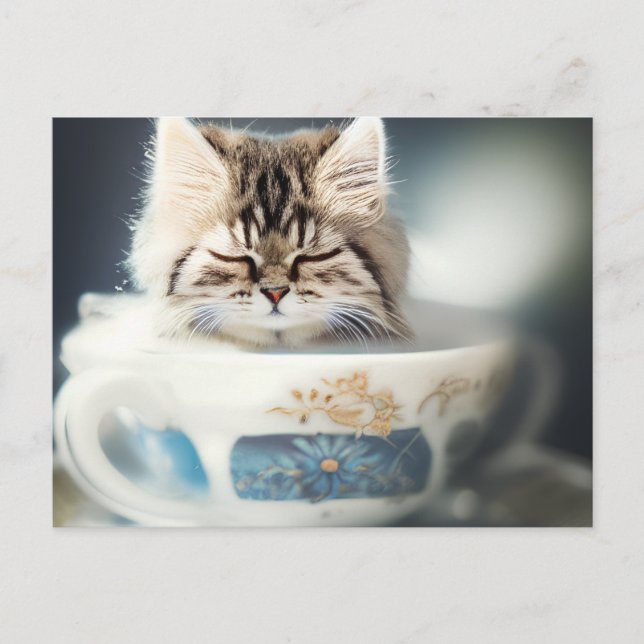 Kitten Sleeping in a Teacup - Cat Postcard (Front)