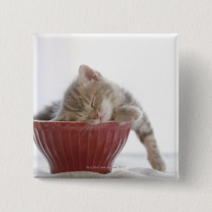 Kitten Sleeping in Bowl 15 Cm Square Badge