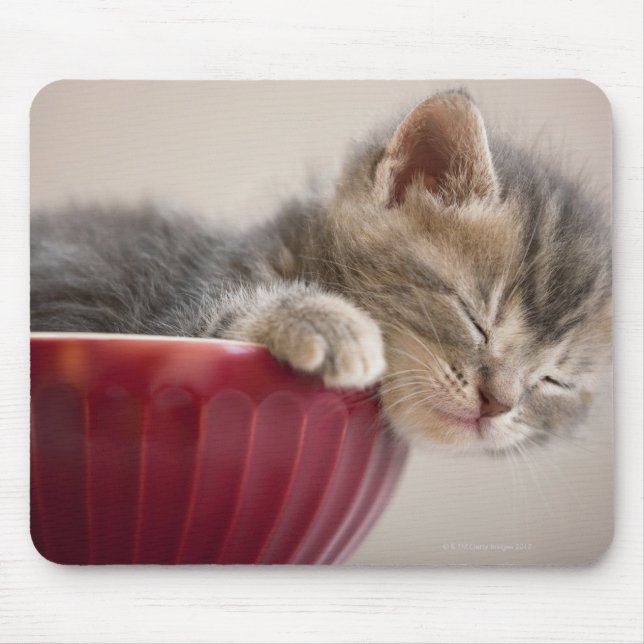 Kitten Sleeping in Bowl Mouse Mat (Front)