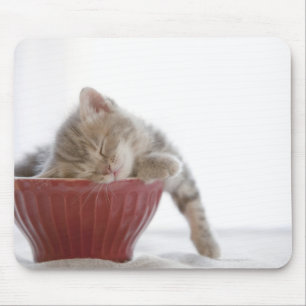 Kitten Sleeping in Bowl Mouse Mat