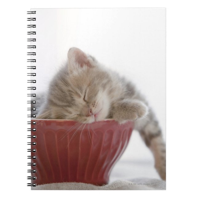 Kitten Sleeping in Bowl Notebook (Front)