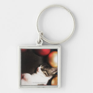 Kitten sleeping in decorations key ring