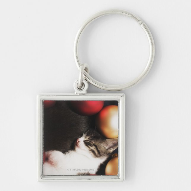 Kitten sleeping in decorations key ring (Front)
