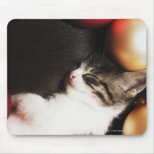 Kitten sleeping in decorations mouse mat