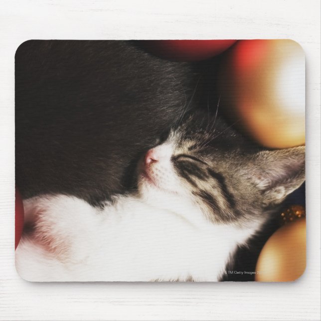Kitten sleeping in decorations mouse mat (Front)