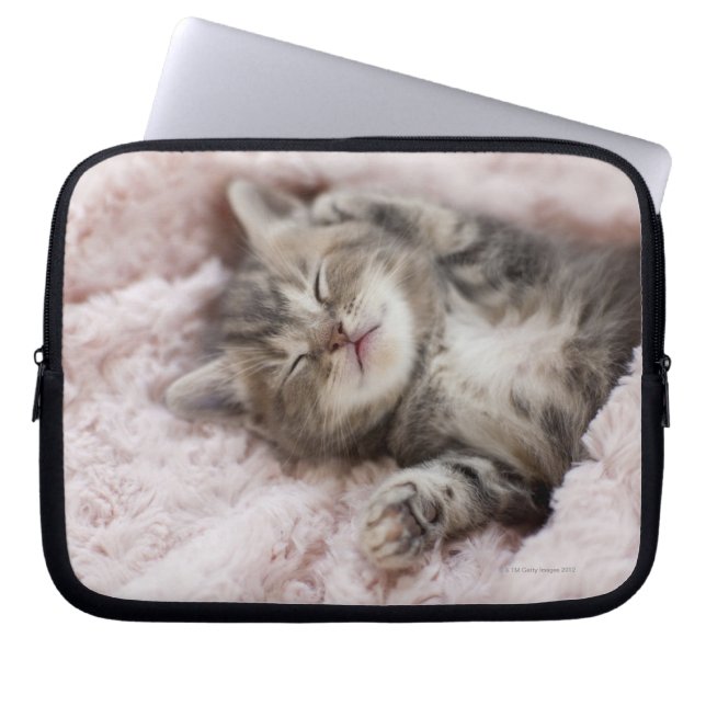 Kitten Sleeping Laptop Sleeve (Front)
