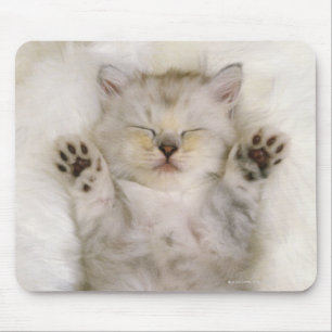 Kitten Sleeping on a White Fluffy Carpet, High Mouse Mat