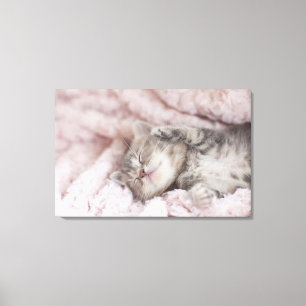 Kitten Sleeping on Towel Canvas Print