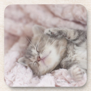 Kitten Sleeping on Towel Coaster
