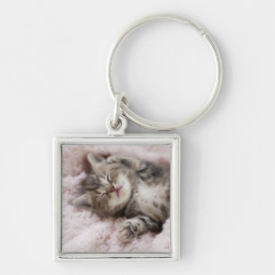 Kitten Sleeping on Towel Key Ring