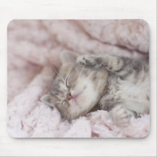 Kitten Sleeping on Towel Mouse Mat