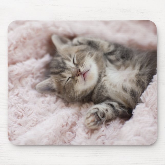 Kitten Sleeping on Towel Mouse Mat (Front)
