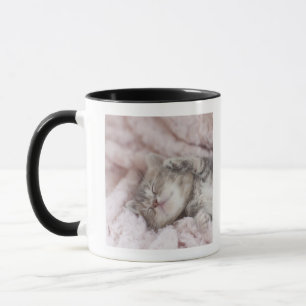 Kitten Sleeping on Towel Mug