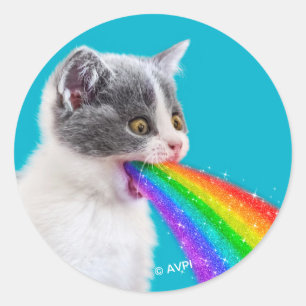 Kitten Spits Up Rainbow Classic Round Sticker