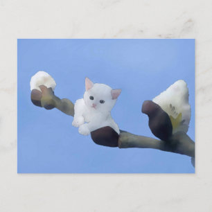 kitten spring postcard