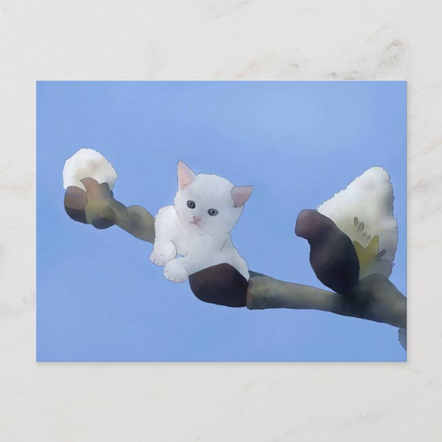 kitten spring postcard (Front)