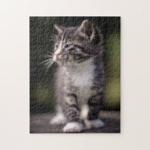 Kitten Standing Tall Jigsaw Puzzle