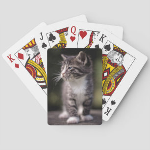 Kitten Standing Tall Playing Cards