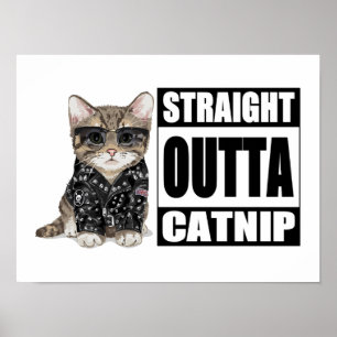 Kitten Straight Outta Catnip Poster
