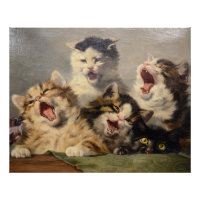 Kitten Symphony by Julius Adam II