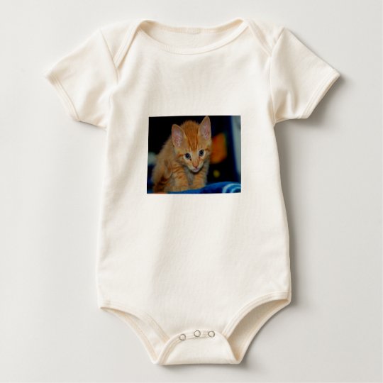 Kitten T-Shirt