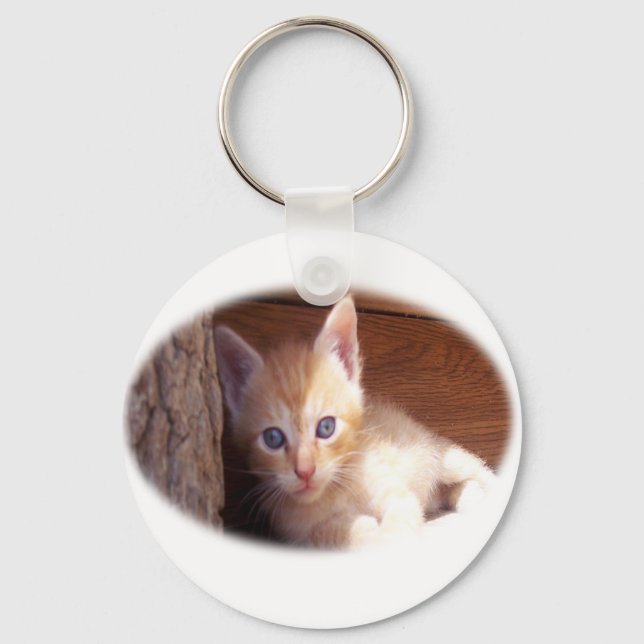 Kitten t-shirts and super mix key ring (Front)