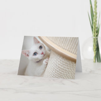 Kitten Thank You Card