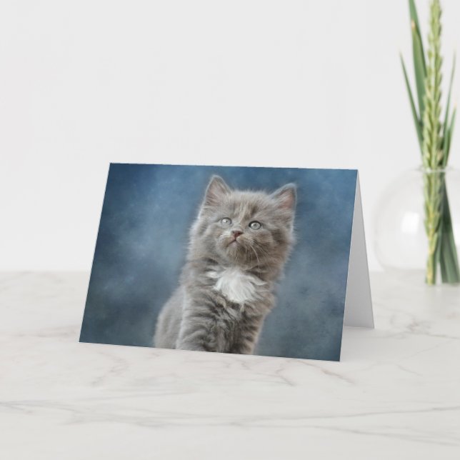 Kitten Thank You Card (Front)