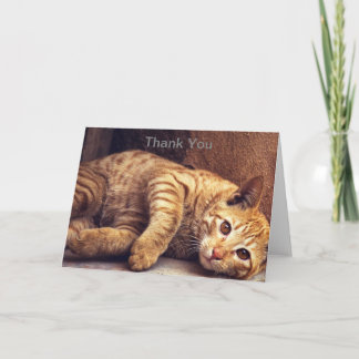 Kitten Thank You Card, Cat Thank You Card